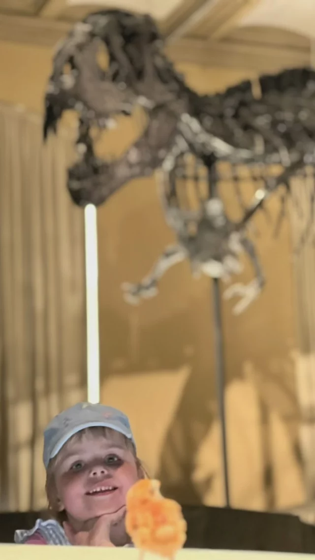 Ännu en fullspäckad och spännande dag avklarad. Idag besökte vi Museum für Naturkunde och mötte gigantiska dinos och fick lära oss massor om djur, natur och om hur de arbetar steg för steg med att bevara och forska kring både dinos och djur- så intressant. Alla var så nöjda, men särskilt G som äntligen fick se riktiga dinos på nära håll- och inte vilka dinosaurier som helst utan både T-Rex, Brachiosaurus, Triceratops och Allosaurus- nästan alla favoriter !

Snart hemförd så vi är glada åt våra två dagar med äventyr.
#berlin #naturkunde #dinosauriemuseum #museumfürnaturkundeberlin